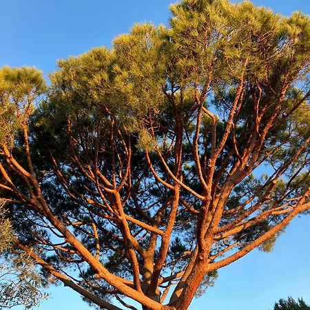 Campagne Vanrell Appartement