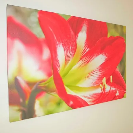 康帕涅瓦哈尔酒店 拉西约塔